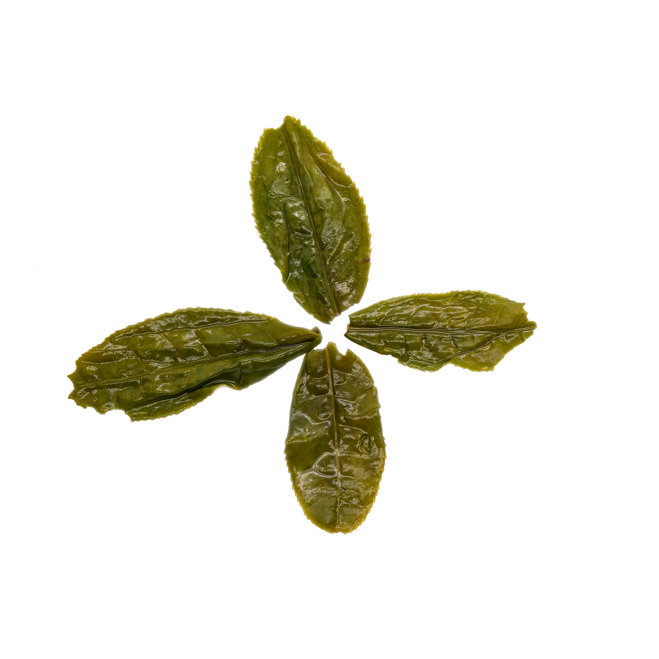 Green Velvet - Lu An Gua Pian 六安瓜片