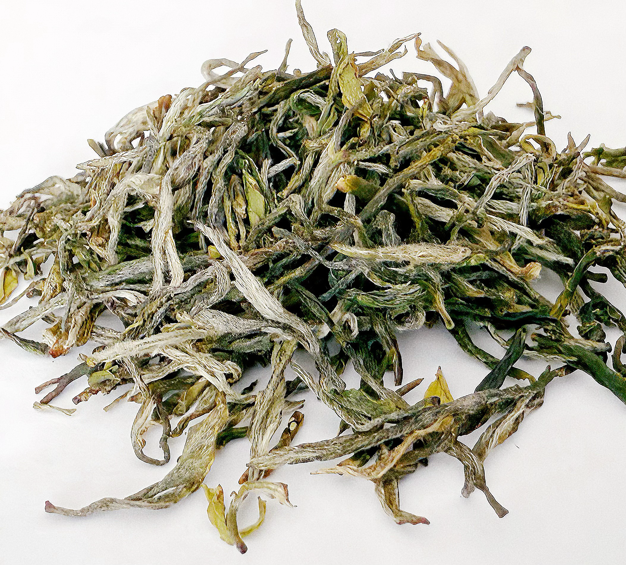 Silk & Mist - Xin Yang Mao Jian 信陽毛尖